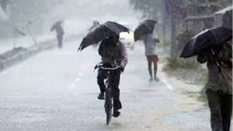 দেশের ৯ জেলায় ঝড়-বৃষ্টির পূর্বাভাস