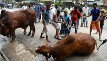 সারাদেশে চলছে পশু কোরবানি