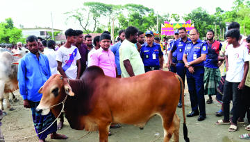 শেরপুরে কোরবানির পশুর হাট পরিদর্শন করলেন পুলিশ সুপার আমিনুল ইসলাম