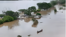 ভিয়েতনামে টাইফুনের আঘাতে মৃতের সংখ্যা বেড়ে ৭