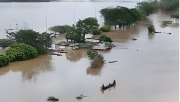 ভিয়েতনামে টাইফুনের আঘাতে মৃতের সংখ্যা বেড়ে ৭
