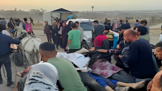 ত্রাণের অপেক্ষায় থাকা ফিলিস্তিনিদের ওপর গুলিতে নিহত ৩৪