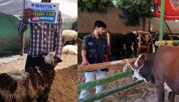 ২৫ হাজার দুঃস্থ পরিবারকে কোরবানির মাংস দেবে মাস্তুল ফাউন্ডেশন, গাজাবাসীর জন্যও কোরবানি দেওয়ার প্রস্তুতি