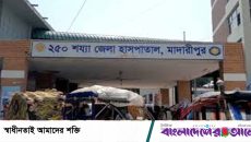 মাদারীপুরে এনসিপির কর্মীসভায় ছাত্রনেতা মাসুম বিল্লাহর ওপর বর্বর হামলা