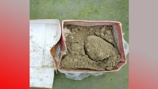 কন্যাসন্তান জন্মে ‘মিষ্টির বদলে বালু’ পিতার আচরণে সমালোচনা