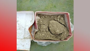 কন্যাসন্তান জন্মে ‘মিষ্টির বদলে বালু’ পিতার আচরণে সমালোচনা