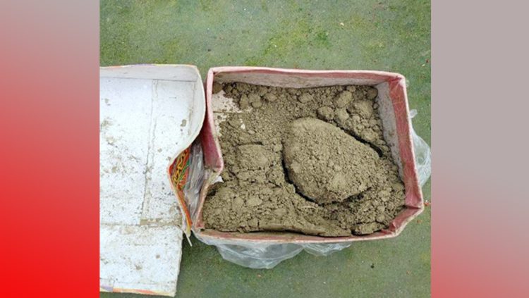 কন্যাসন্তান জন্মে ‘মিষ্টির বদলে বালু’ পিতার আচরণে সমালোচনা