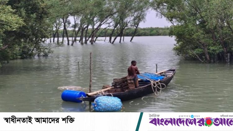 সুন্দরবন বন্ধ, তবুও অবাধে চলছে মাছ ও কাঁকড়া শিকার