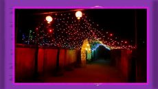 ছেলের বিয়ের আলোকসজ্জায় বিদ্যুৎস্পৃষ্ট হয়ে বাবার মর্মান্তিক মৃত্যু