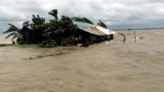 নিম্নচাপের প্রভাবে পটুয়াখালীর নিচু এলাকা প্লাবিত, ভাঙছে বাঁধ