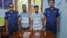 নওগাঁয় ২০০ পিস ট্যাপেন্ডাল ট্যাবলেটসহ জামাই-শ্বশুর গ্রেফতার