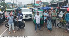 জামালপুরে মহাসড়ক অবরোধ করে এনসিপির ব্লকেড