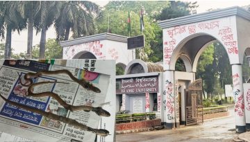 ইবি ক্যাম্পাসে বেড়েছে সাপের উপদ্রব, চিকিৎসা কুষ্টিয়া সদরে