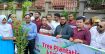 চাঁদপুর সেন্ট্রাল রোটারি ক্লাবের উদ্যোগে বৃক্ষরোপণ ও বিতরণ কর্মসূচি