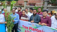 চাঁদপুর সেন্ট্রাল রোটারি ক্লাবের উদ্যোগে বৃক্ষরোপণ ও বিতরণ কর্মসূচি
