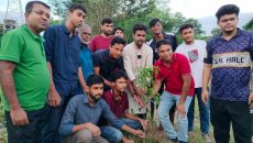 ইবিতে জুলাই বিপ্লবের বর্ষপূর্তিতে বৈছাআ’র বৃক্ষরোপণ কর্মসূচি দ্বিতীয় দিনে