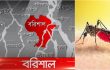 বরিশালে ডেঙ্গুতে তরুণীসহ দুইজনের মৃত্যু