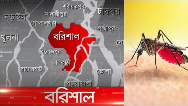 বরিশালে ডেঙ্গুতে তরুণীসহ দুইজনের মৃত্যু
