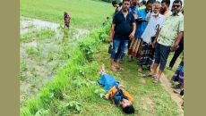 হবিগঞ্জে টমটম চালককে হত্যা করে ছিনতাই, কয়েক ঘণ্টার মধ্যে আটক ২