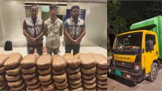 রায়েরবাগে ডিবির অভিযানে ২০০ কেজি গাঁজাসহ এক মাদক কারবারি গ্রেফতার