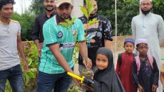 নওগাঁয় বৃক্ষরোপণ ও চারা বিতরণ কর্মসূচি সম্পন্ন