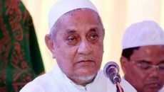 মাইজভান্ডার দরবারের আধ্যাত্মিক সাধক সৈয়দ দিদারুল হকের ইন্তেকাল
