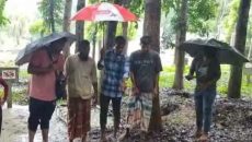 পাবনায় এক রাতে কবরস্থান থেকে ২১টি কঙ্কাল চুরি