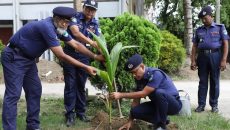 চুয়াডাঙ্গা পুলিশ লাইন্সে পরিবেশবান্ধব উদ্যোগ: গাছের চারা রোপণ করলেন পুলিশ সুপার