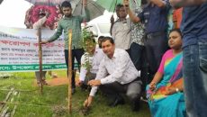 ঝালকাঠিতে সড়কের পাশে গাছের চারা রোপণ করলেন জেলা প্রশাসক