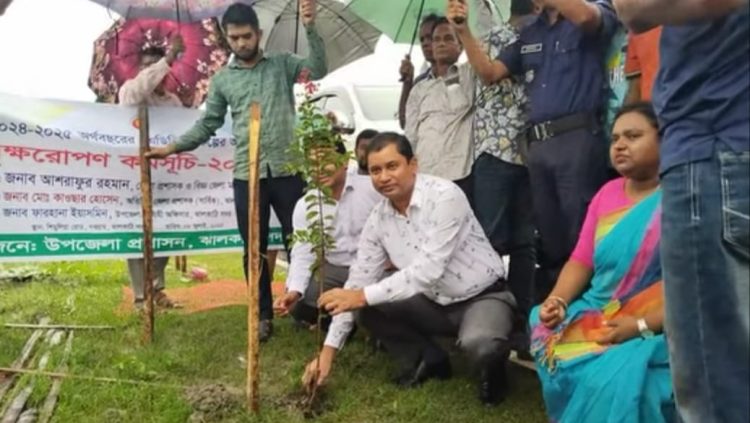 ঝালকাঠিতে সড়কের পাশে গাছের চারা রোপণ করলেন জেলা প্রশাসক