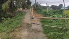 নবীনগরে রাস্তা দখল করে কবরস্থানে যাতায়াত বন্ধ, অভিযোগ আ: লীগ ও ছাত্রলীগের বিরুদ্ধে