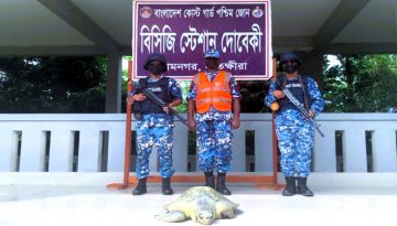 সুন্দরবনের চুনকুরি নদী থেকে আহত কচ্ছপ উদ্ধার করলো কোস্ট গার্ড