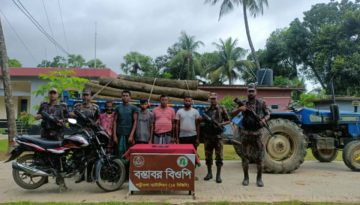 নওগাঁ সীমান্তে কাঠ পাচারের সময় ট্রাকসহ ৫ জন আটক