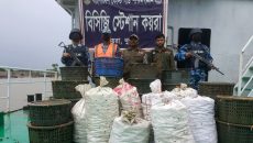 সুন্দরবনে ৭৩০ কেজি কাঁকড়াসহ ইঞ্জিনচালিত ট্রলার জব্দ