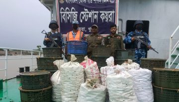 সুন্দরবনে ৭৩০ কেজি কাঁকড়াসহ ইঞ্জিনচালিত ট্রলার জব্দ