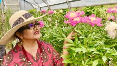 কানাডায় গিয়েই ব্যস্ত ববিতা