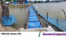 ছয় মাসেই ভেঙে পড়ল ভাসমান সেতু: ১৮ লাখ টাকার প্রকল্প প্রশ্নের মুখে