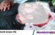 বাবুগঞ্জে মাদকবিরোধী অভিযানে কনস্টেবলসহ আহত ৩