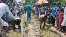 সড়কে পানি, ধান রোপণ করে স্থানীয়দের প্রতিবাদ