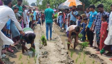 সড়কে পানি, ধান রোপণ করে স্থানীয়দের প্রতিবাদ
