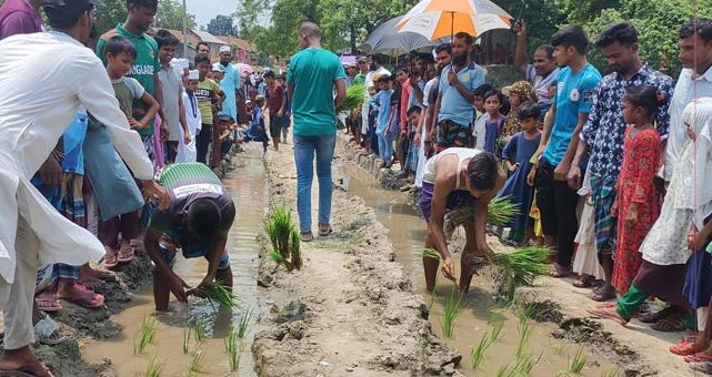 সড়কে পানি, ধান রোপণ করে স্থানীয়দের প্রতিবাদ