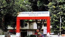 স্বাস্থ্য কমপ্লেক্স চত্বর থেকে নববধূ অপহৃত, স্বামী ও শ্বশুরবাড়ির সদস্যরা পলাতক