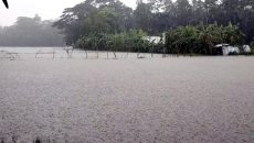 নদীর পানি কমছে না, ভারী বৃষ্টির আশঙ্কা আরও একদিন