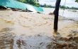 মুহুরী, কহুয়া ও সিলোনিয়ায় আবারও বাড়ছে পানি, ফের প্লাবিত ফেনী