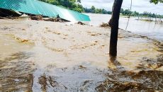 মুহুরী, কহুয়া ও সিলোনিয়ায় আবারও বাড়ছে পানি, ফের প্লাবিত ফেনী