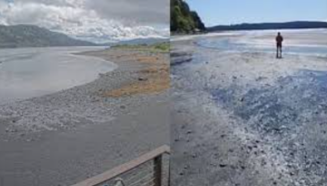 আলাস্কায় ৭.৩ মাত্রার ভূমিকম্প, উপকূলজুড়ে সুনামি সতর্কতা