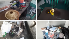 মাইলস্টোন কলেজ এখন যেন এক শোকস্তম্ভ