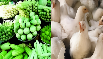 বেড়েছে সবজির দাম, মুরগিতেও অস্বস্তি