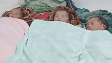 নড়াইলে একসঙ্গে তিন সন্তানের জন্ম