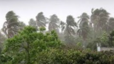 সাত অঞ্চলে ৬০ কিলোমিটার বেগে ঝড়ের শঙ্কা, সমুদ্রবন্দরে সতর্ক সংকেত